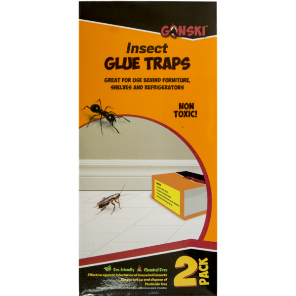 Insect glue trap pack of 2