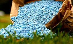 Understanding fertilisers: