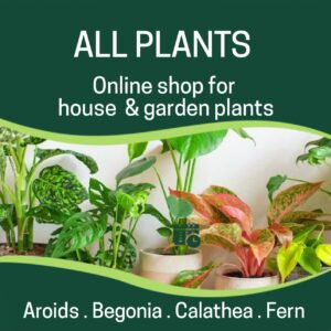 All Plants