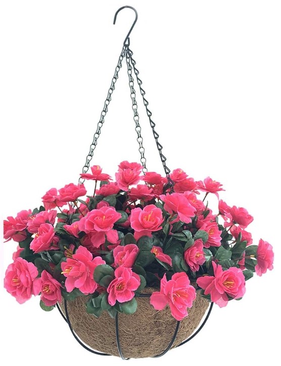 Hanging Baskets Archives - LANDOSOL PLANT FARM NURSERY