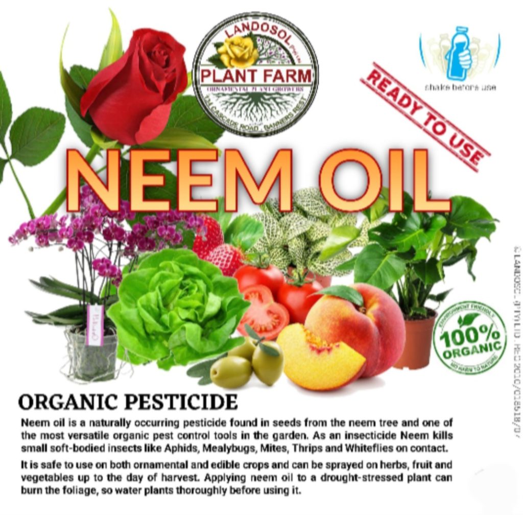 Neem Oil Benefits Landosol Plant Farm Nursery