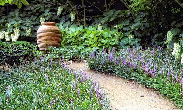 Creating Focal Points